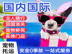 敦煌莫高航空邮寄国际宠物托运 【国